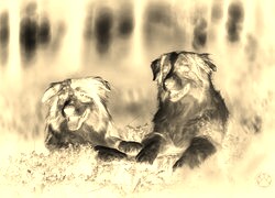 Sepia + Negatyw