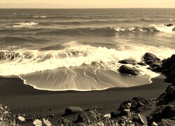 Szary + Sepia
