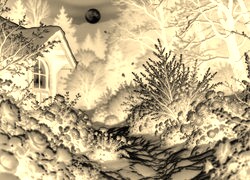Sepia + Negatyw