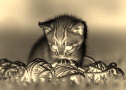 Sepia + Negatyw