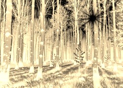 Sepia + Negatyw