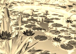 Sepia + Negatyw