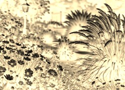 Sepia + Negatyw