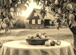 Sepia