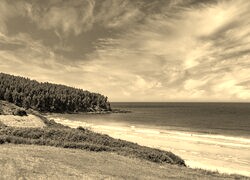 Sepia