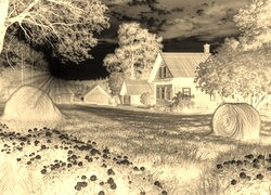 Sepia + Negatyw