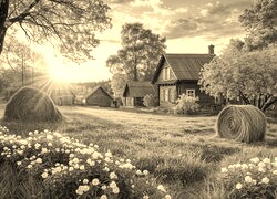 Szary + Sepia