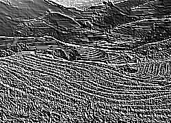 Skamielina