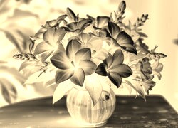 Sepia + Negatyw