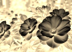 Sepia + Negatyw