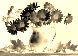 Sepia + Negatyw