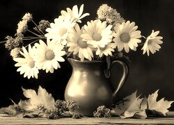 Szary + Sepia