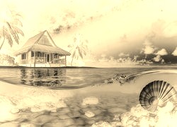 Sepia + Negatyw