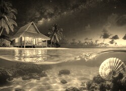Szary + Sepia