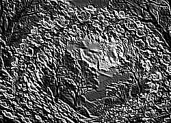 Skamielina