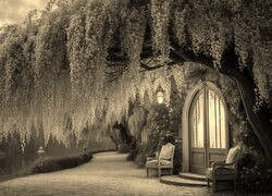 Szary + Sepia