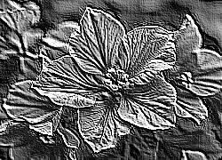 Skamielina