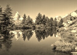 Szary + Sepia