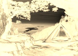 Sepia + Negatyw