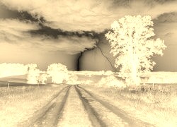 Sepia + Negatyw