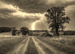 Szary + Sepia