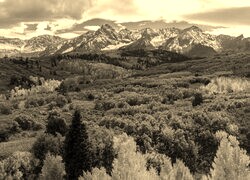 Sepia
