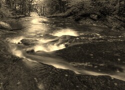 Szary + Sepia