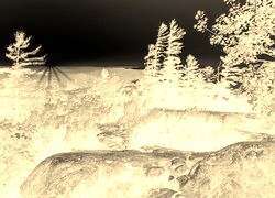 Sepia + Negatyw