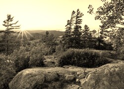 Sepia