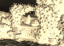 Sepia + Negatyw