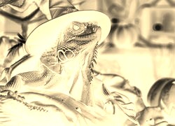 Sepia + Negatyw