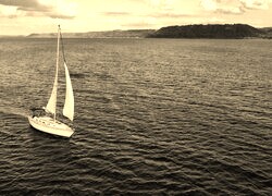 Szary + Sepia