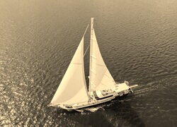 Szary + Sepia