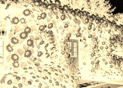 Sepia + Negatyw