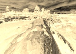 Sepia + Negatyw