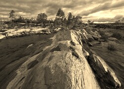 Szary + Sepia