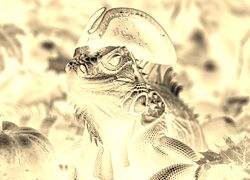 Sepia + Negatyw