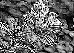 Skamielina
