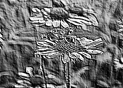 Skamielina
