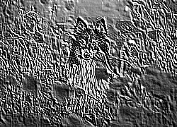 Skamielina