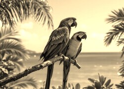 Szary + Sepia