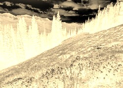 Sepia + Negatyw