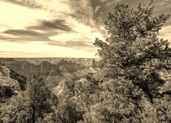 Sepia