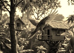 Szary + Sepia