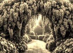Sepia