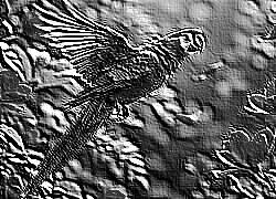 Skamielina