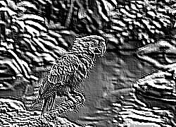 Skamielina