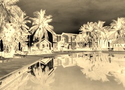 Sepia + Negatyw
