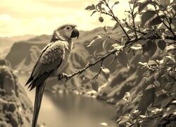 Sepia