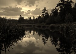 Sepia